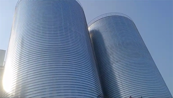 定南2座混凝土高架卷板仓